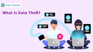 What Is Data Theft